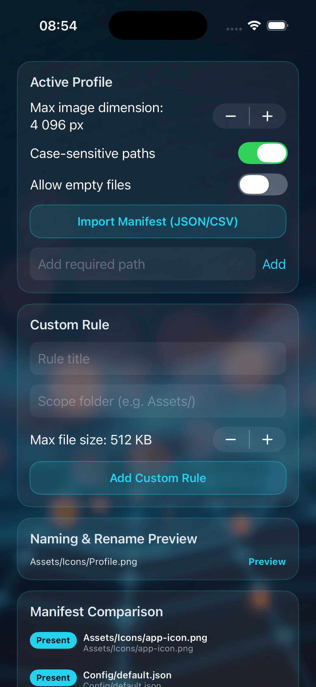 Manifest and naming rules editor